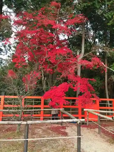 賀茂別雷神社（上賀茂神社）のその他建物