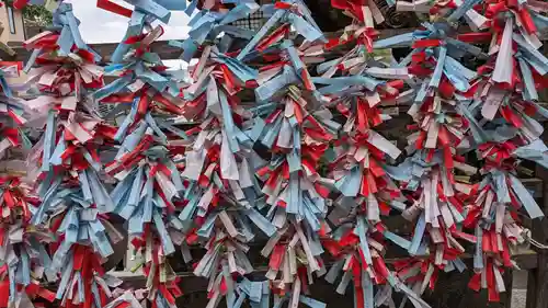 江島神社のおみくじ