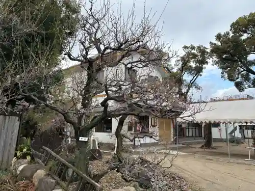 難波熊野神社の{uncategorized: "未分類", other: "その他", undefined: "問題あり", building: "その他建物", grave: "お墓", sacred_gate: "鳥居", guardian: "狛犬", statue: "像", buddha: "仏像", history: "歴史", nature: "自然", garden: "庭園", animal: "動物", pagoda: "塔", temizu: "手水舎", mountain_gate: "山門・神門", sanctuary: "本殿・本堂", subordinate: "末社・摂社", art: "芸術", scenery: "景色", jizo: "地蔵", ema: "絵馬", goshuin: "御朱印", omikuji: "おみくじ", items: "授与品その他", amulet: "お守り", goshuincho: "御朱印帳", eats: "食事", festival: "お祭り", votive_dance: "神楽", shichigosan: "七五三参", wedding: "結婚式", experience: "体験その他", initially: "初詣", around: "周辺", anti_infection: "感染症対策"}
