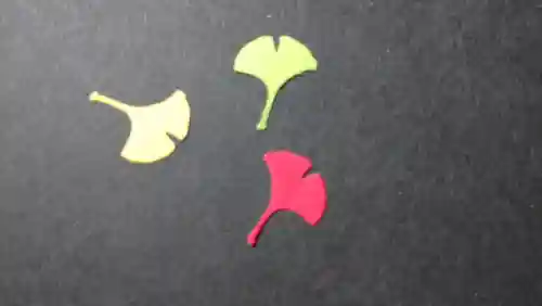 日蓮宗 総本山 塔頭 定林坊(じょうりんぼう)のその他建物