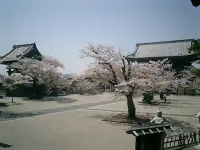 光明寺のその他建物