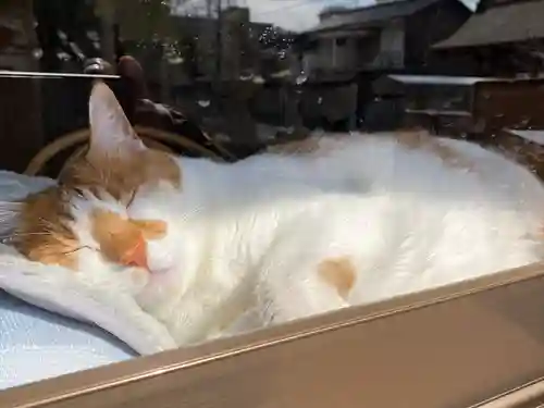 伊勢神社(岡山県)