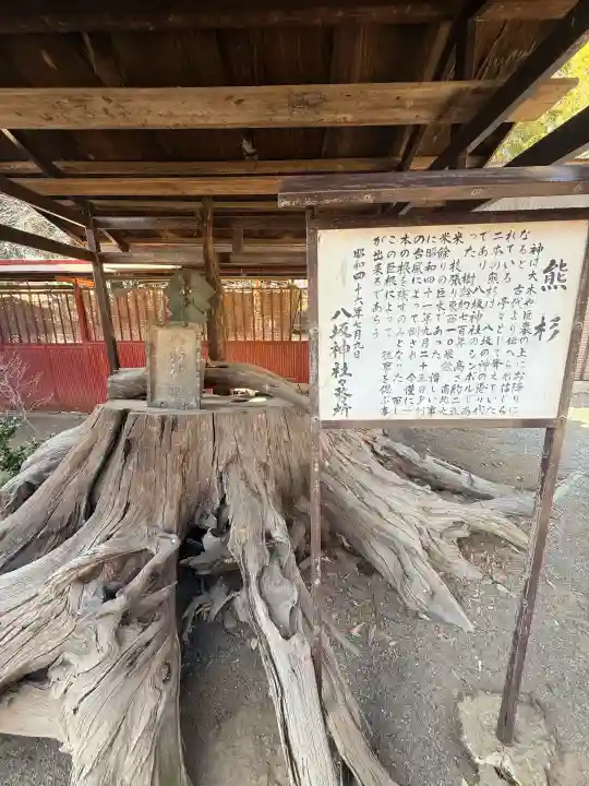 八坂神社の{uncategorized: "未分類", other: "その他", undefined: "問題あり", building: "その他建物", grave: "お墓", sacred_gate: "鳥居", guardian: "狛犬", statue: "像", buddha: "仏像", history: "歴史", nature: "自然", garden: "庭園", animal: "動物", pagoda: "塔", temizu: "手水舎", mountain_gate: "山門・神門", sanctuary: "本殿・本堂", subordinate: "末社・摂社", art: "芸術", scenery: "景色", jizo: "地蔵", ema: "絵馬", goshuin: "御朱印", omikuji: "おみくじ", items: "授与品その他", amulet: "お守り", goshuincho: "御朱印帳", eats: "食事", festival: "お祭り", votive_dance: "神楽", shichigosan: "七五三参", wedding: "結婚式", experience: "体験その他", initially: "初詣", around: "周辺", anti_infection: "感染症対策"}