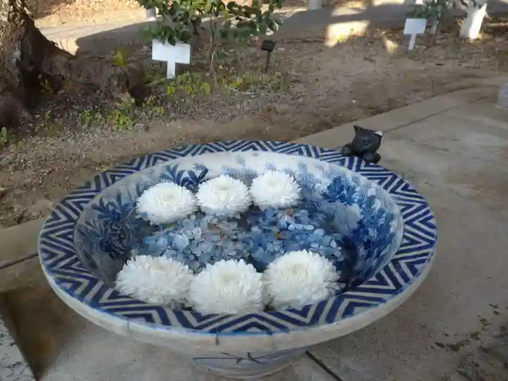 都波岐奈加等神社の手水舎