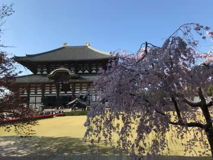 東大寺のその他建物