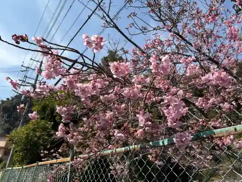 松尾大社の{uncategorized: "未分類", other: "その他", undefined: "問題あり", building: "その他建物", grave: "お墓", sacred_gate: "鳥居", guardian: "狛犬", statue: "像", buddha: "仏像", history: "歴史", nature: "自然", garden: "庭園", animal: "動物", pagoda: "塔", temizu: "手水舎", mountain_gate: "山門・神門", sanctuary: "本殿・本堂", subordinate: "末社・摂社", art: "芸術", scenery: "景色", jizo: "地蔵", ema: "絵馬", goshuin: "御朱印", omikuji: "おみくじ", items: "授与品その他", amulet: "お守り", goshuincho: "御朱印帳", eats: "食事", festival: "お祭り", votive_dance: "神楽", shichigosan: "七五三参", wedding: "結婚式", experience: "体験その他", initially: "初詣", around: "周辺", anti_infection: "感染症対策"}