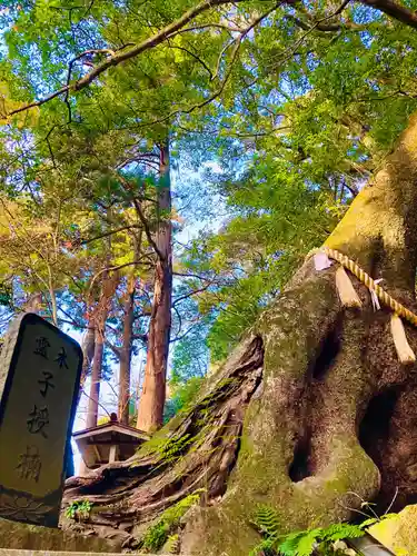 笠森寺(千葉県)