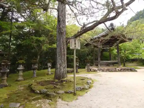 西明寺(京都府)