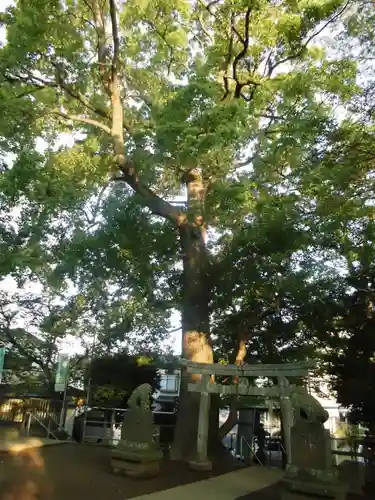 青砥杉山神社のその他建物