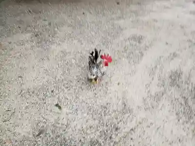 石上神宮(奈良県)