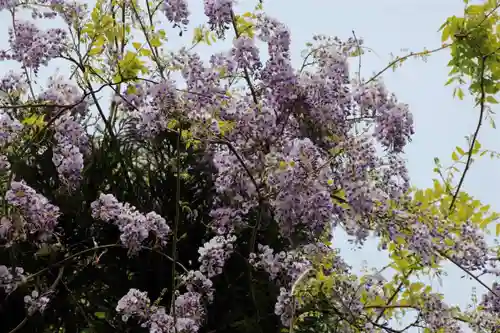 藤稲荷神社の自然