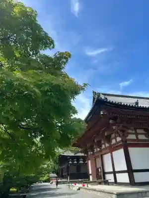 東寺（教王護国寺）(京都府)