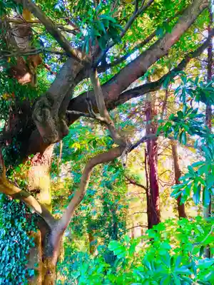 太平山神社(栃木県)