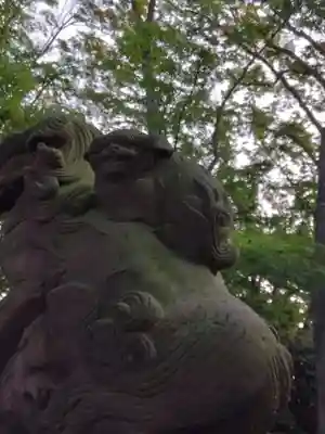 神明大神（中丸子神社）(神奈川県)
