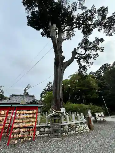 矢奈比賣神社（見付天神）(静岡県)
