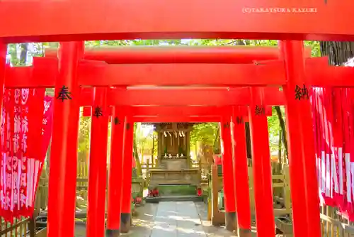 鹿島神宮(茨城県)
