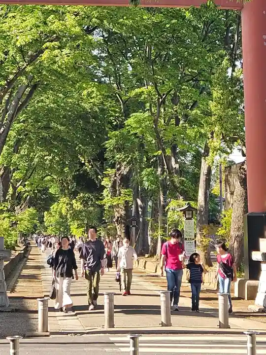 武蔵一宮氷川神社(埼玉県)