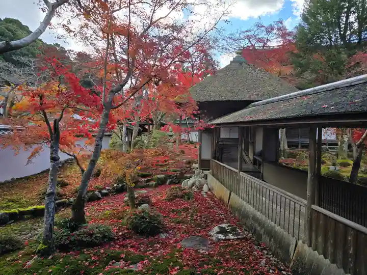 金剛寺(大阪府)