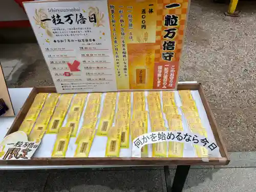 青島神社（青島神宮）(宮崎県)