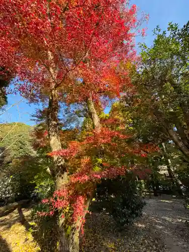 賀茂別雷神社（上賀茂神社）(京都府)