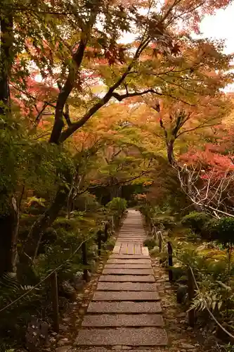 宝筐院(京都府)