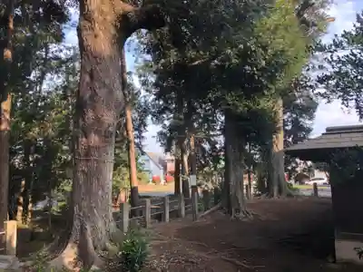 鶴峯八幡宮のその他建物