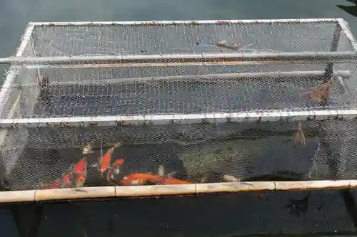 備中国總社(岡山県)