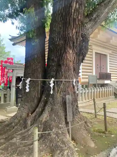 諏訪神社(東京都)