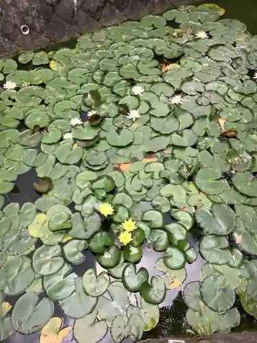 市原稲荷神社の庭園