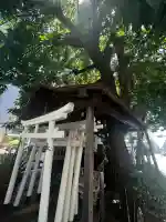 楠木大神(大阪府)