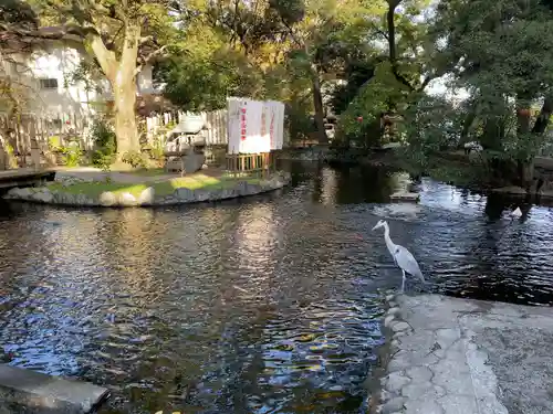 平塚八幡宮(神奈川県)