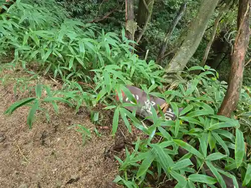 六甲比命大善神社(兵庫県)