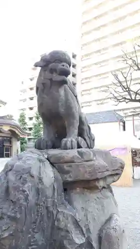 浅草神社の狛犬