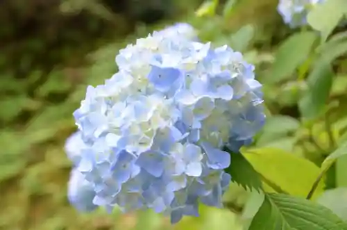 東福禅寺（東福寺）(京都府)