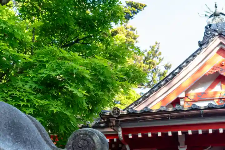 金澤神社(石川県)
