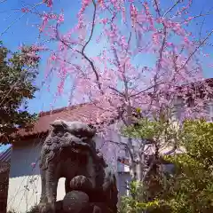 豊景神社の狛犬