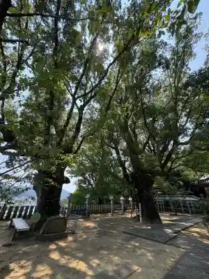 薬王寺(徳島県)