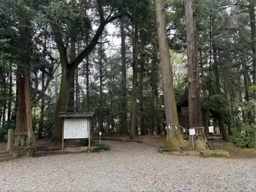 間々田八幡宮(栃木県)