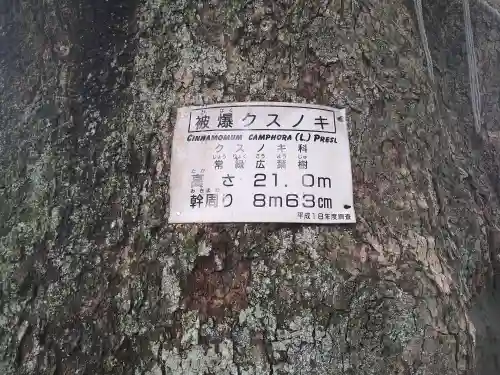 山王神社(長崎県)