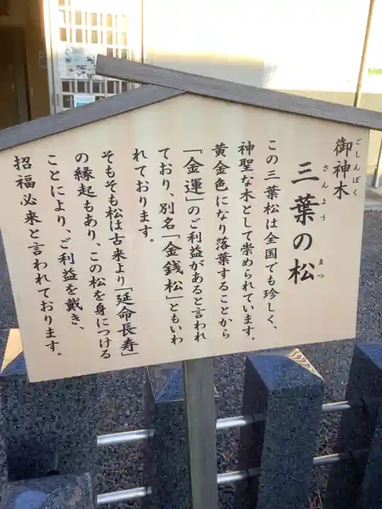 別小江神社(愛知県)