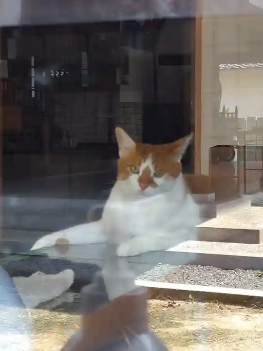 伊勢神社の動物