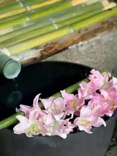 水無瀬神宮(大阪府)