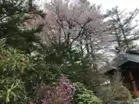 修験道公明院の{uncategorized: "未分類", other: "その他", undefined: "問題あり", building: "その他建物", grave: "お墓", sacred_gate: "鳥居", guardian: "狛犬", statue: "像", buddha: "仏像", history: "歴史", nature: "自然", garden: "庭園", animal: "動物", pagoda: "塔", temizu: "手水舎", mountain_gate: "山門・神門", sanctuary: "本殿・本堂", subordinate: "末社・摂社", art: "芸術", scenery: "景色", jizo: "地蔵", ema: "絵馬", goshuin: "御朱印", omikuji: "おみくじ", items: "授与品その他", amulet: "お守り", goshuincho: "御朱印帳", eats: "食事", festival: "お祭り", votive_dance: "神楽", shichigosan: "七五三参", wedding: "結婚式", experience: "体験その他", initially: "初詣", around: "周辺", anti_infection: "感染症対策"}