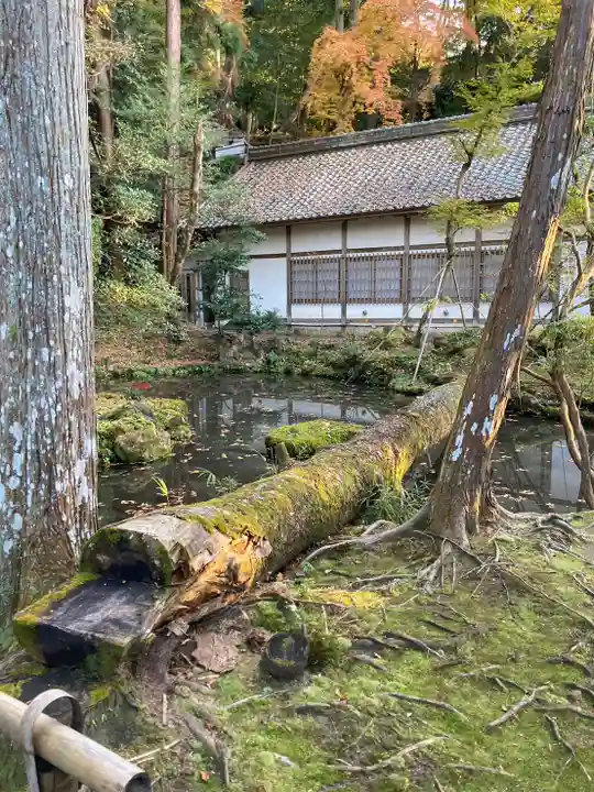 法然院(京都府)