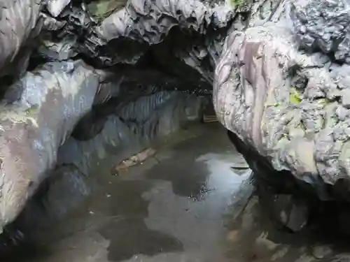 無戸室浅間神社(船津胎内神社)の自然