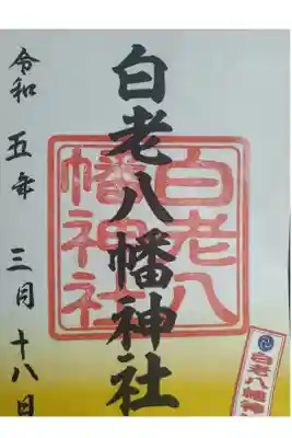 白老八幡神社の御朱印