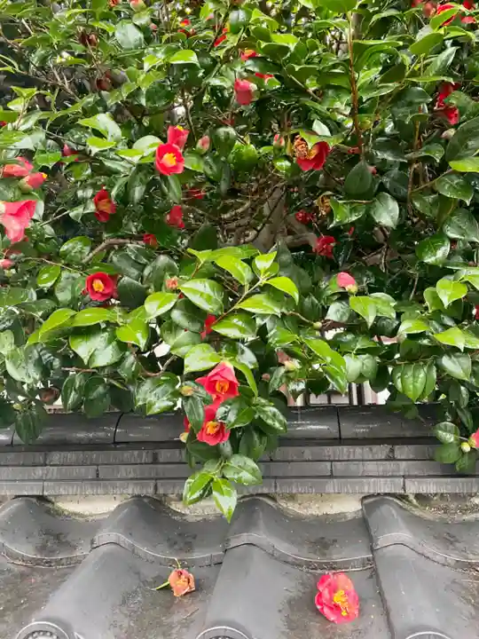 大乗院(京都府)