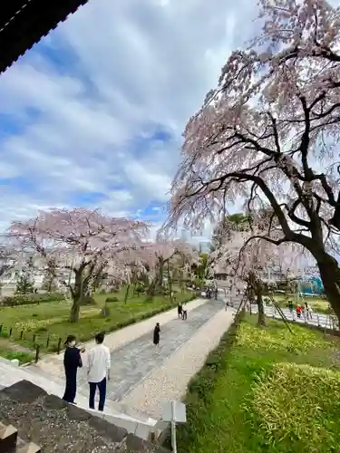 東郷寺(東京都)