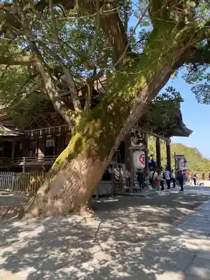 金刀比羅宮(香川県)