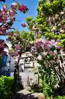 福王山 慈眼寺の自然